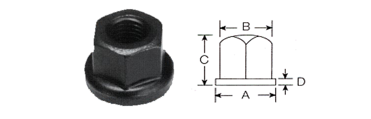 flange nuts 2